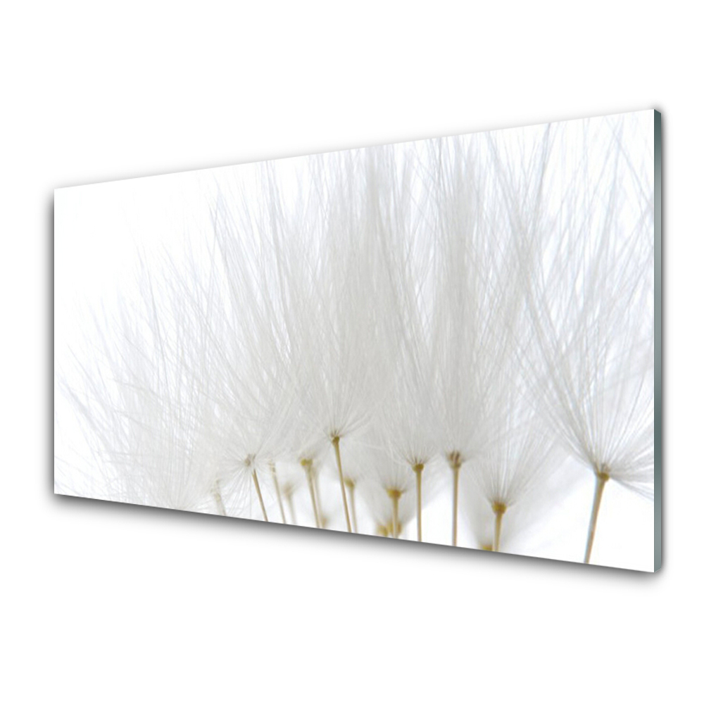 Obraz na Szkle Białe Kwiaty Natura
