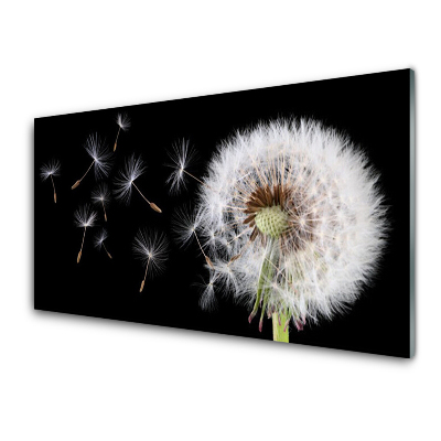 Obraz na Szkle Dmuchawiec