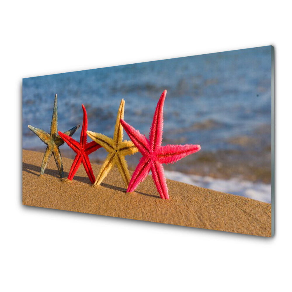 Obraz na Szkle Plaża Rozgwiazdy Woda