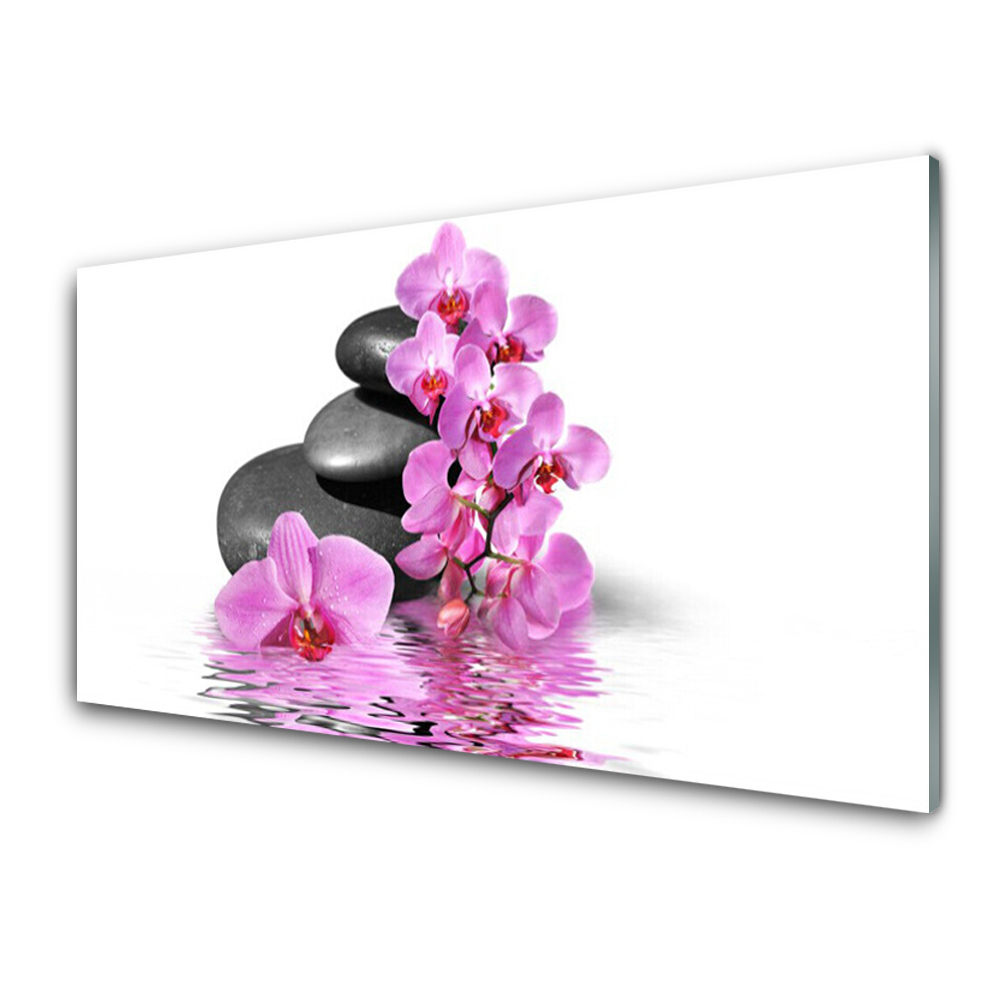 Obraz na Szkle Różowy Kwiat Kamienie