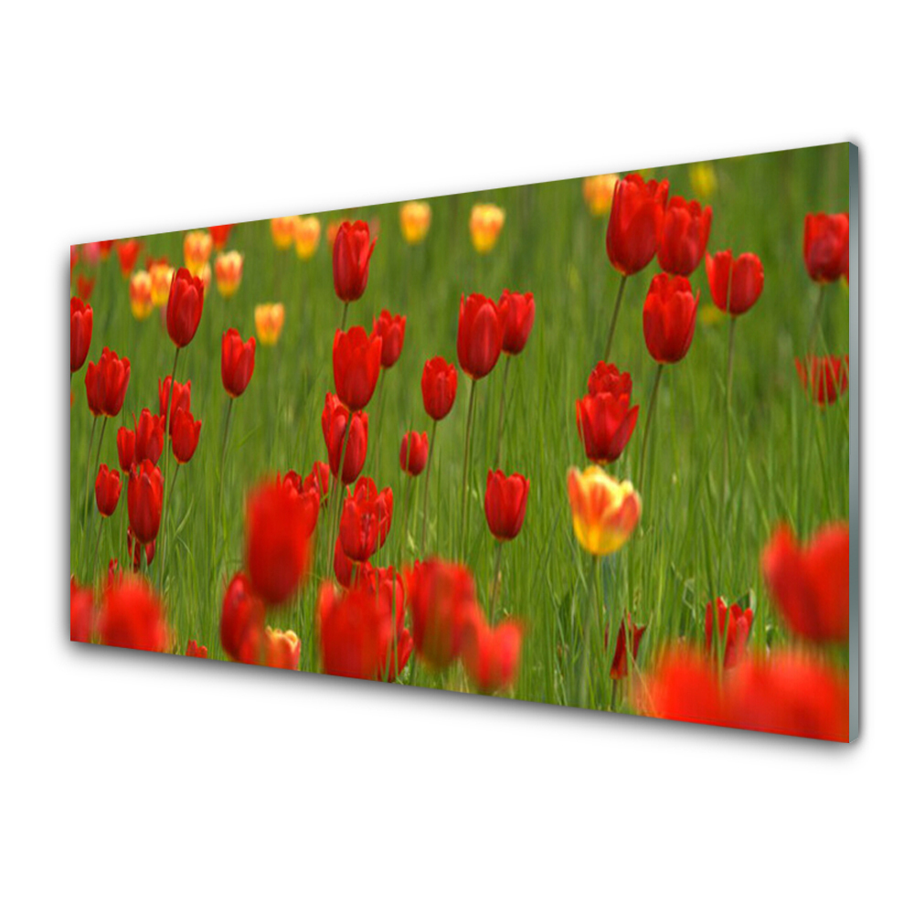 Obraz na Szkle Tulipany Łąka Rośliny