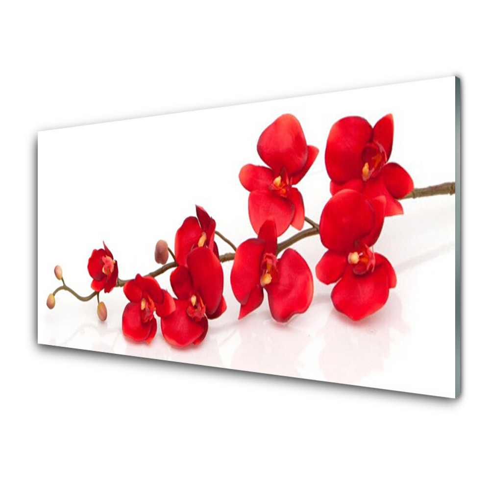 Obraz na Szkle Czerwone Kwiaty Roślina