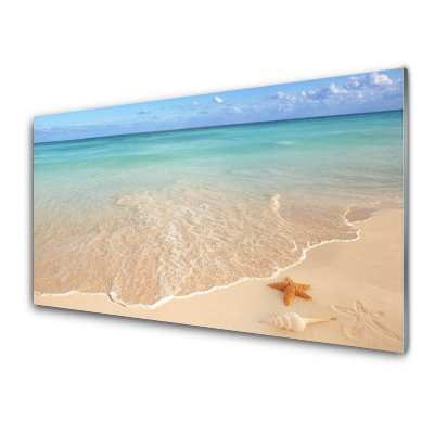 Obraz na Szkle Plaża Rozgwiazda Widok