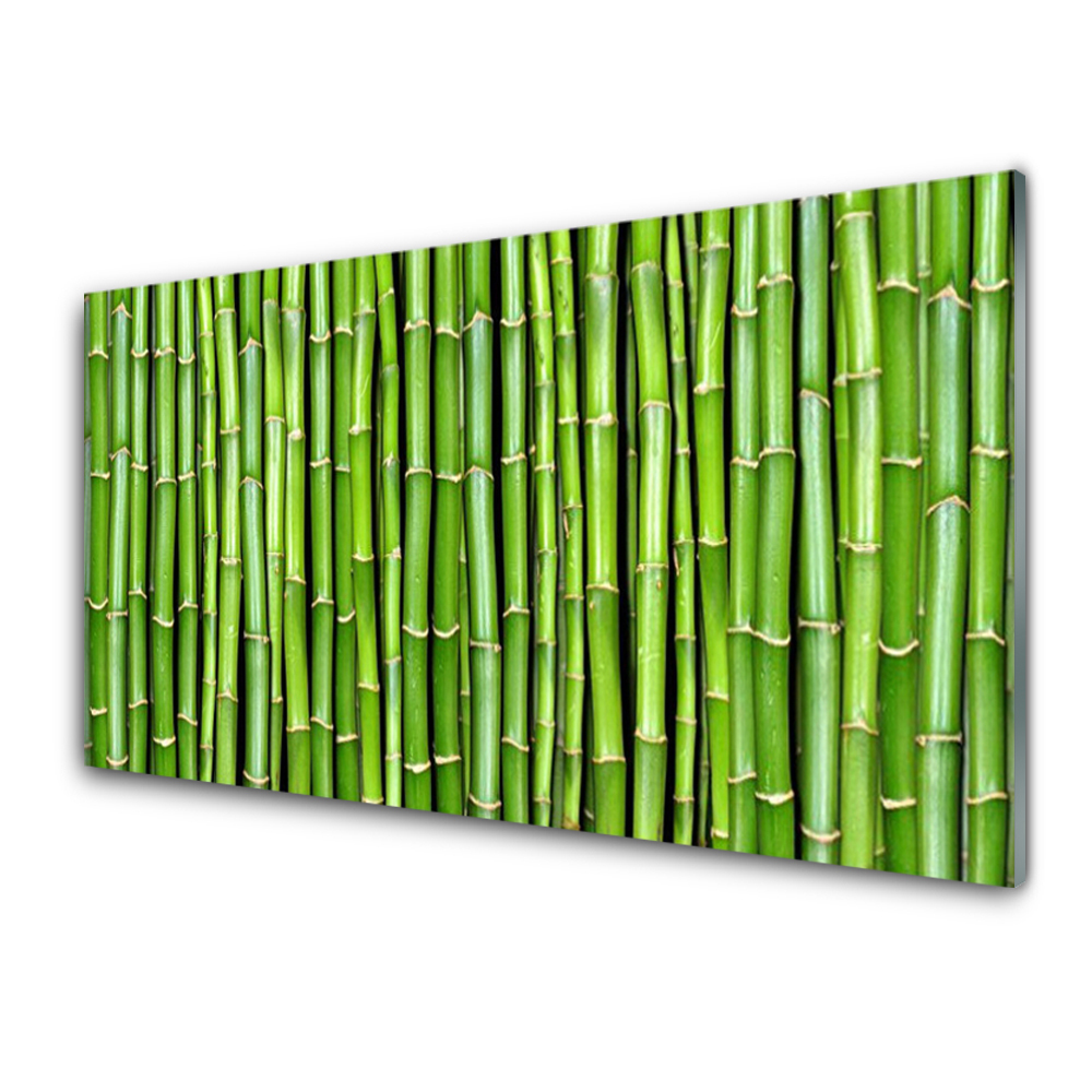 Obraz na Szkle Zielone Pędy bambusa