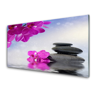 Obraz na Szkle Kwiaty Różowy Storczyk