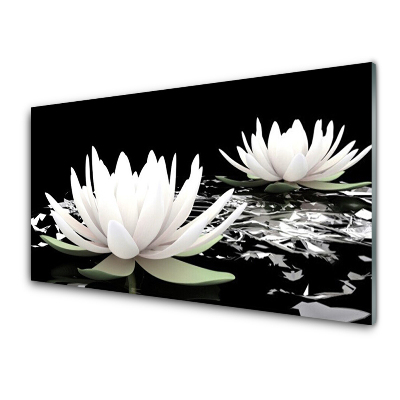Obraz na Szkle Dwie lilie wodne