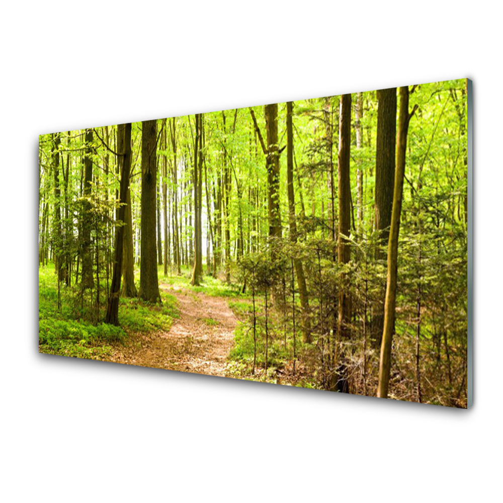 Obraz na Szkle Ścieżka w zielonym lesie