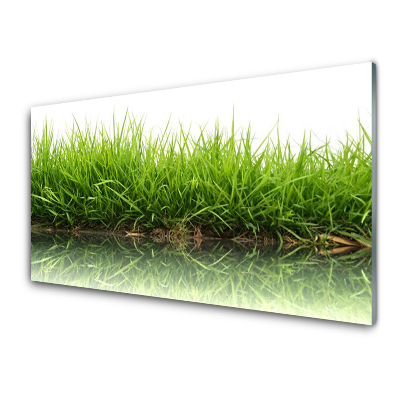 Obraz na Szkle Trawa odbita od powierzchni