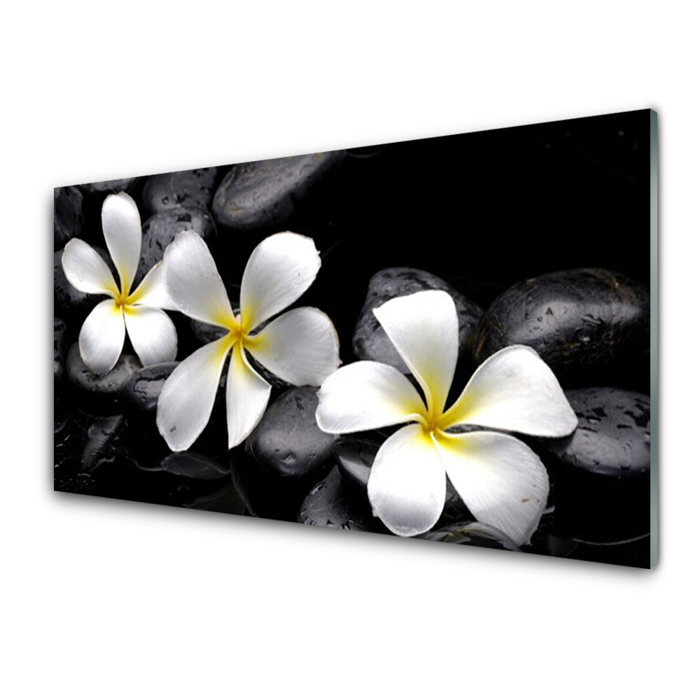 Obraz na Szkle Białe kwiaty na czarnym tle