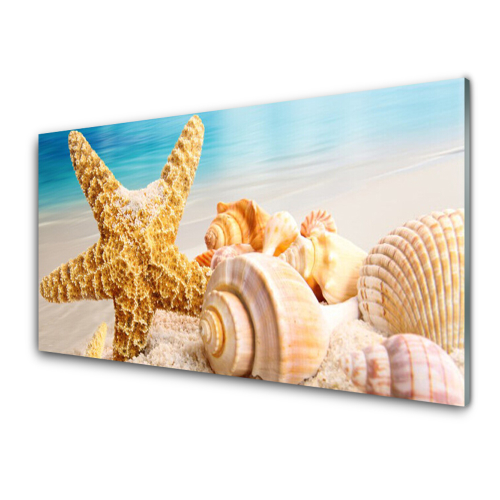 Obraz na Szkle Rozgwiazda i muszle na plaży
