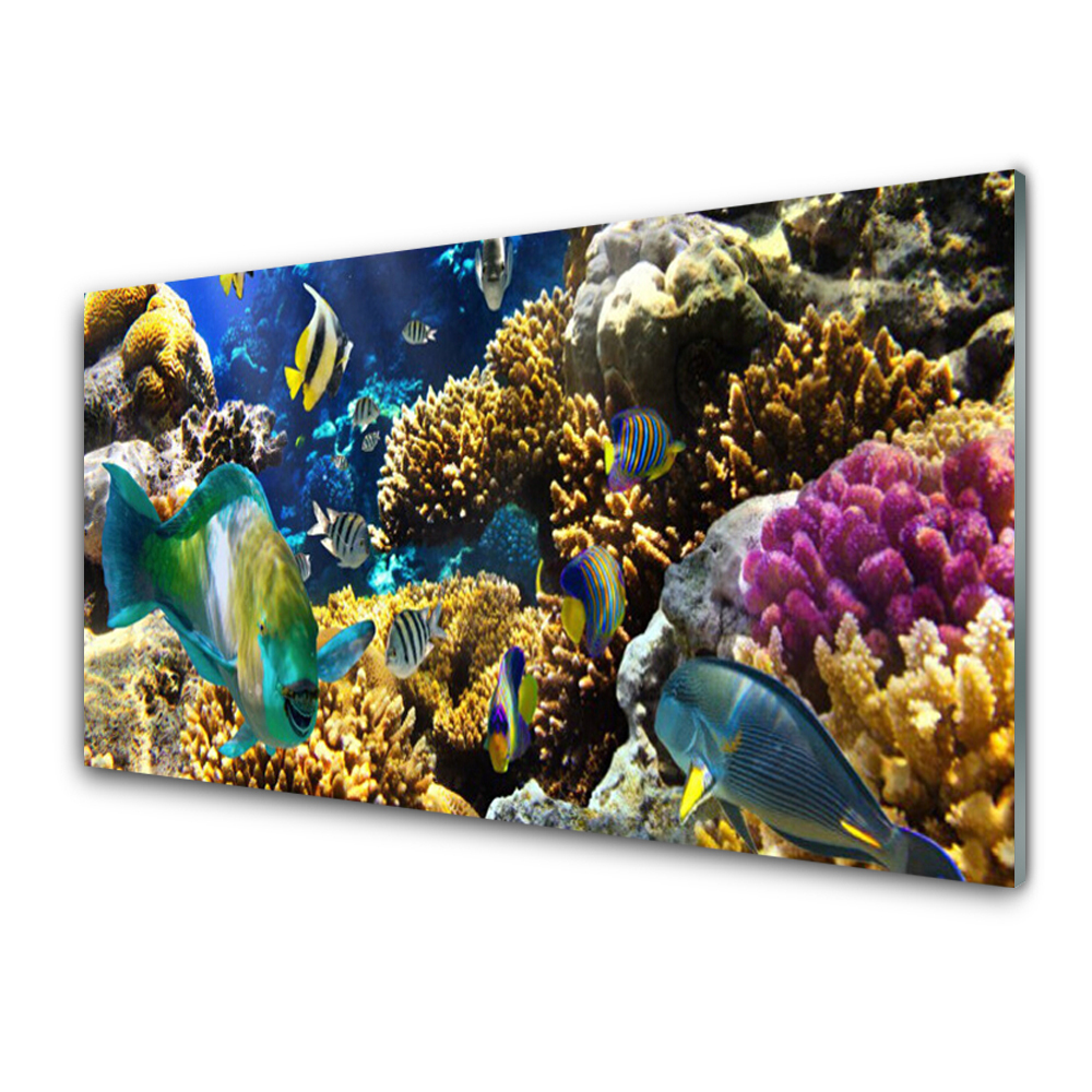 Obraz na Szkle Rafa Koralowa Ryby