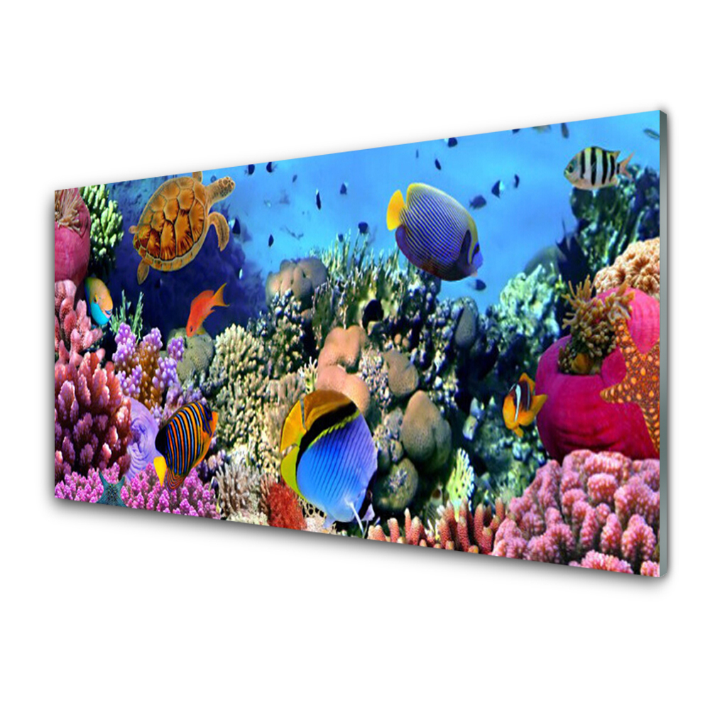 Obraz na Szkle Tęczowa rafa koralowa