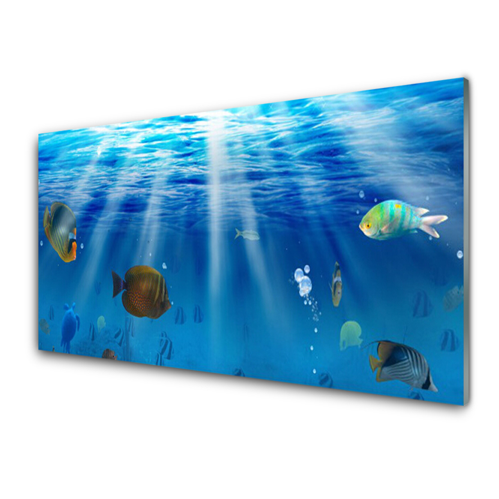 Obraz na Szkle Ryby pod powierzchnia wody