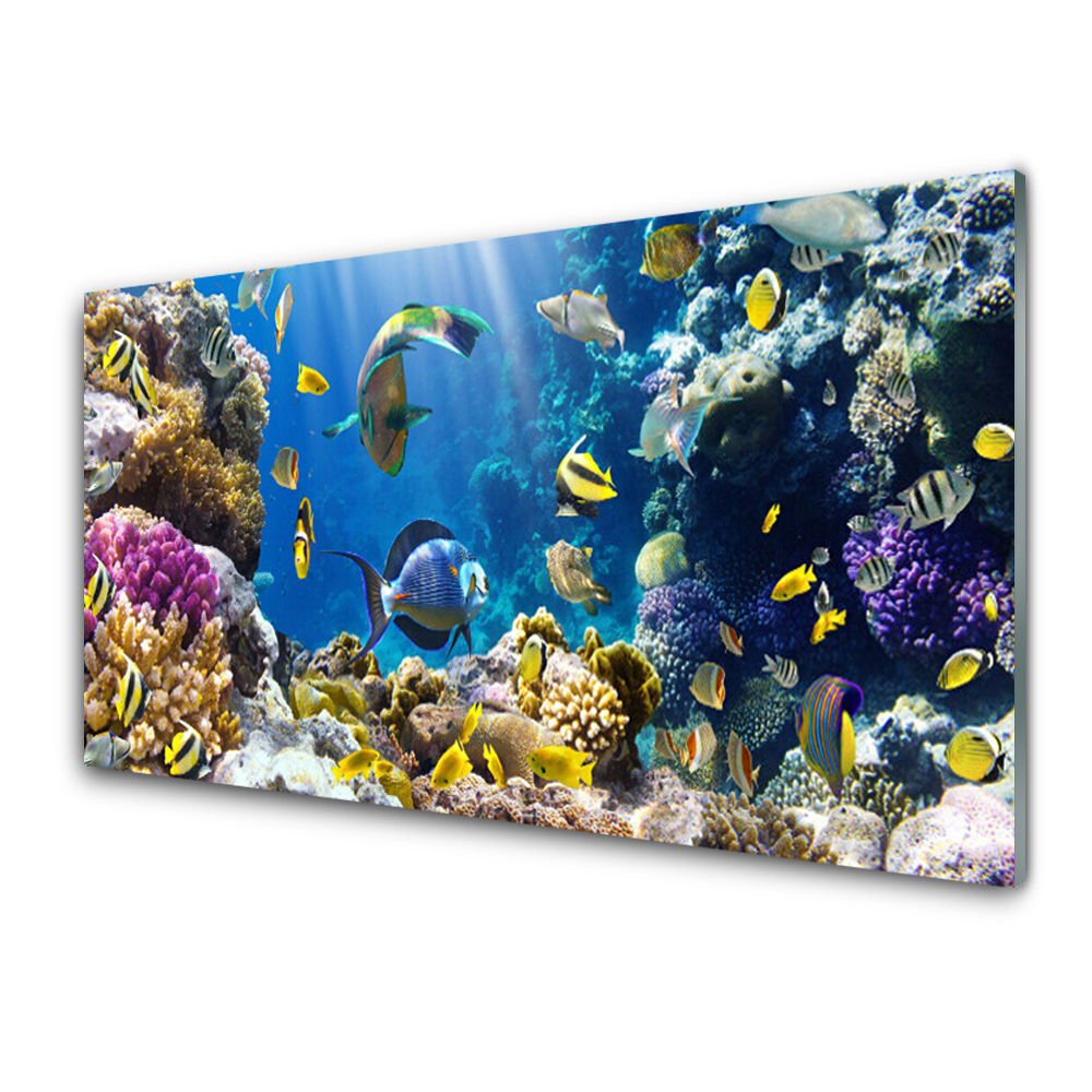 Obraz na Szkle Rafa Koralowa Żółte rybki
