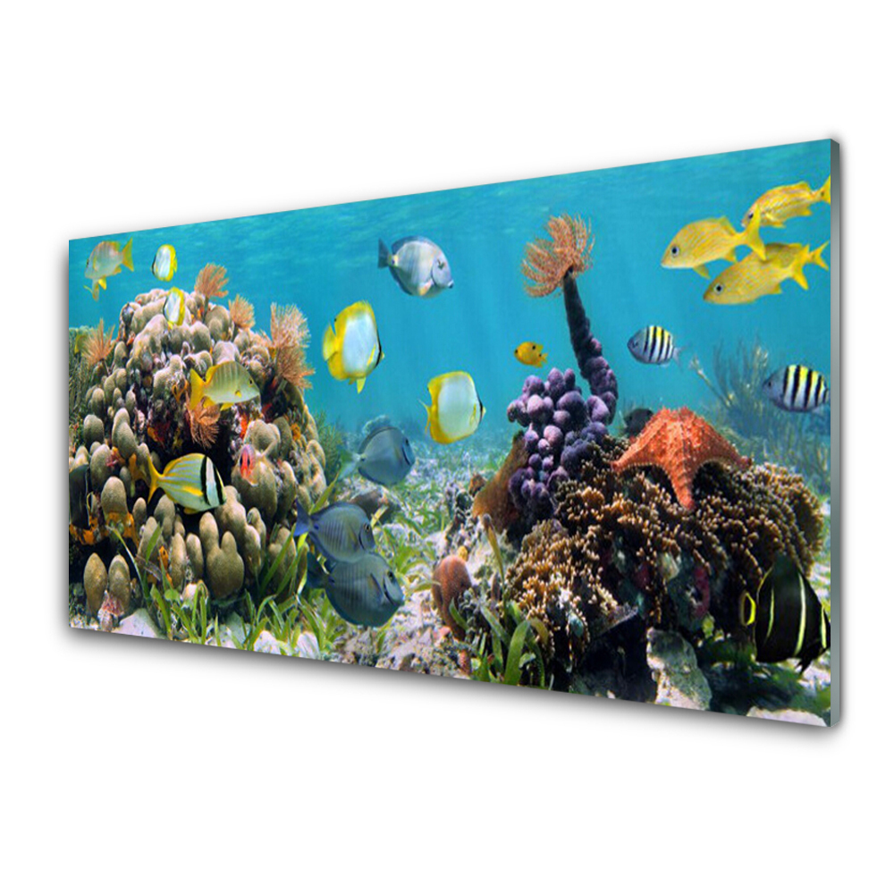 Obraz na Szkle Podwodna Rafa Koralowa