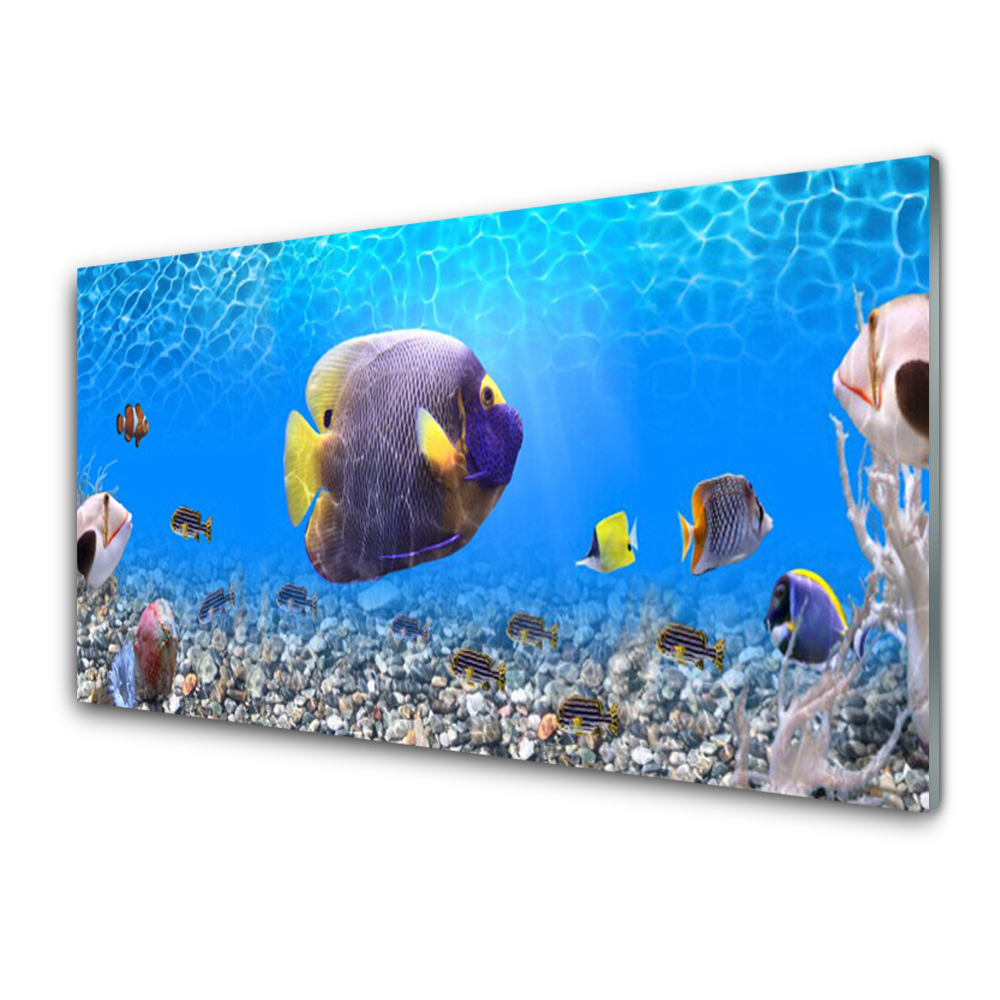 Obraz na Szkle Ryba pod wodą