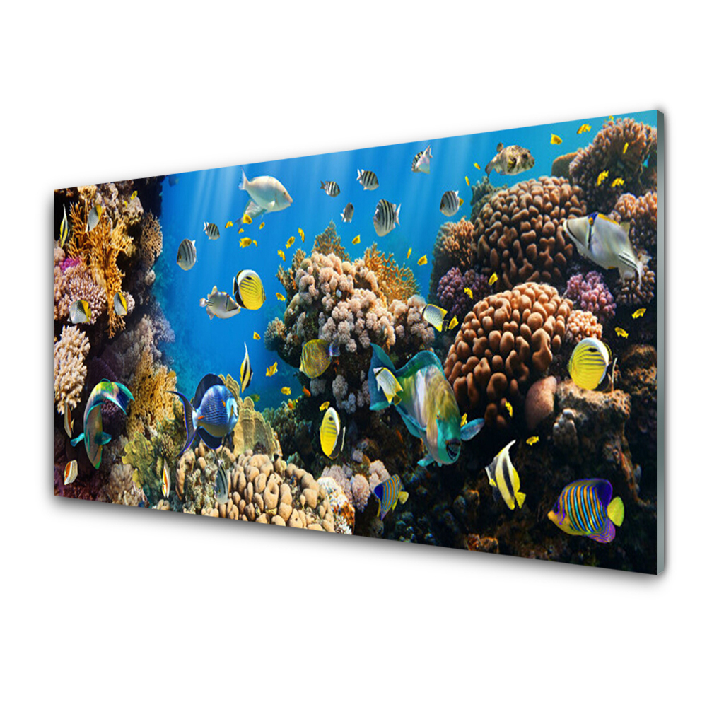 Obraz na Szkle Życie na rafie koralowej