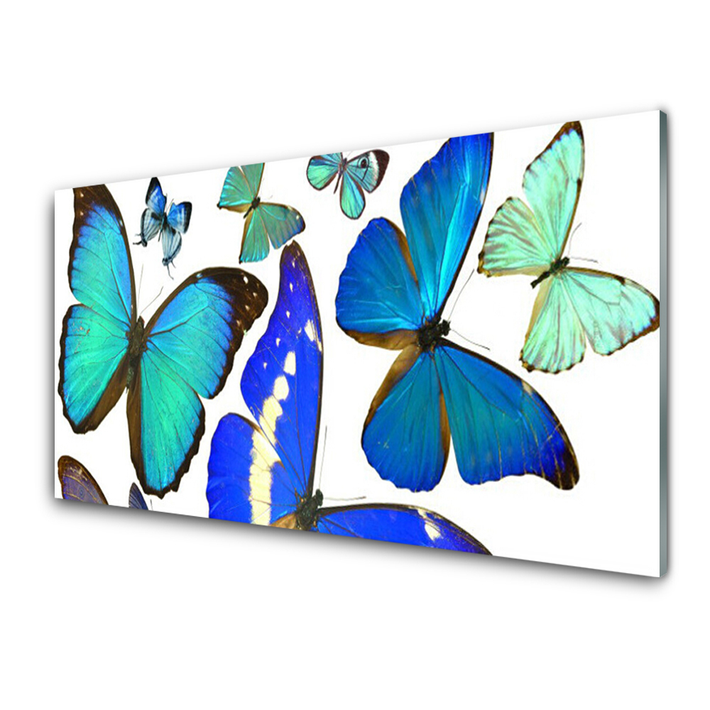 Obraz na Szkle Niebieskie motyle