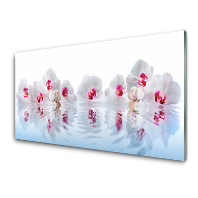 Obraz na Szkle Białe kwiaty orchidei i woda