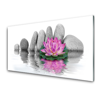 Obraz Szklany różowa lilia na tle kamieni