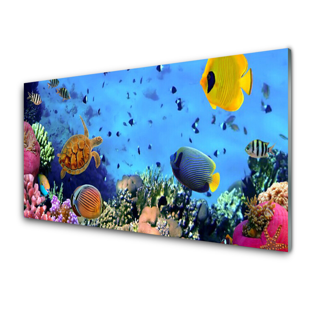 Obraz Szklany Rafa Koralowa Zwierzęta