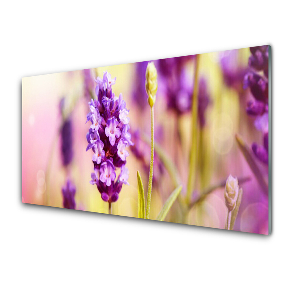 Obraz Szklany Zbliżenie na fioletowy kwiat
