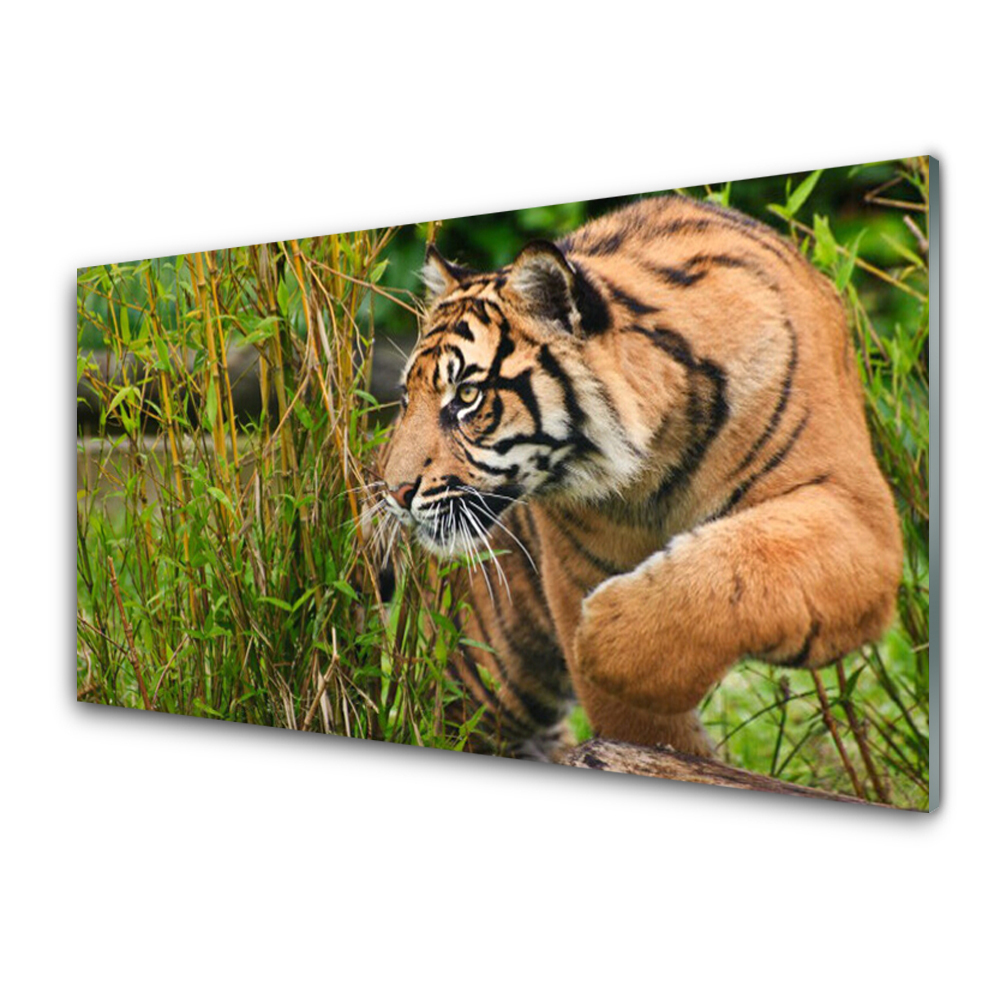 Obraz Szklany Polujący Tygrys