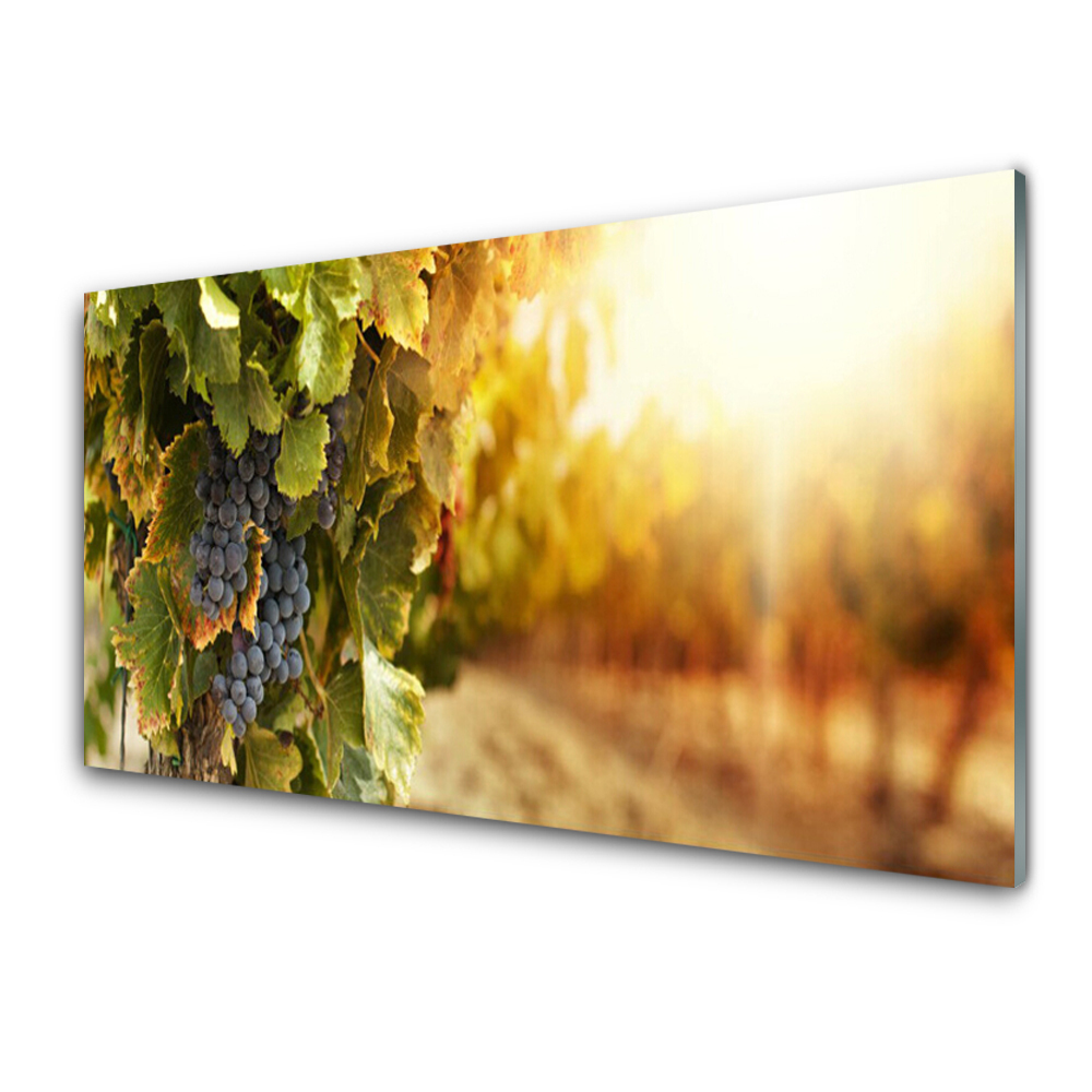 Obraz Szklany Kiście winogron