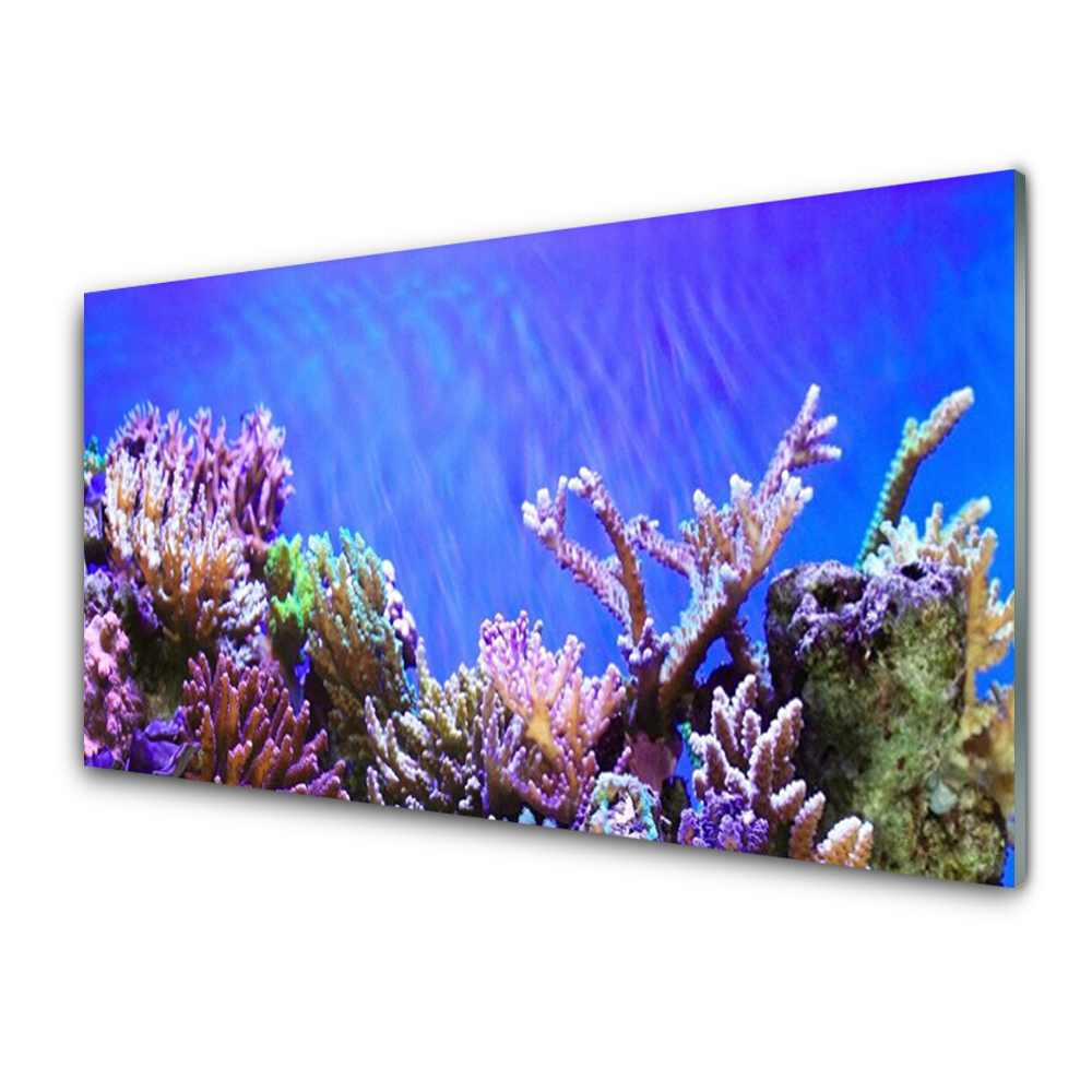 Obraz Szklany Rafa Koralowa Flora