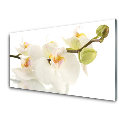 Obraz Szklany Storczyki na łodyżce