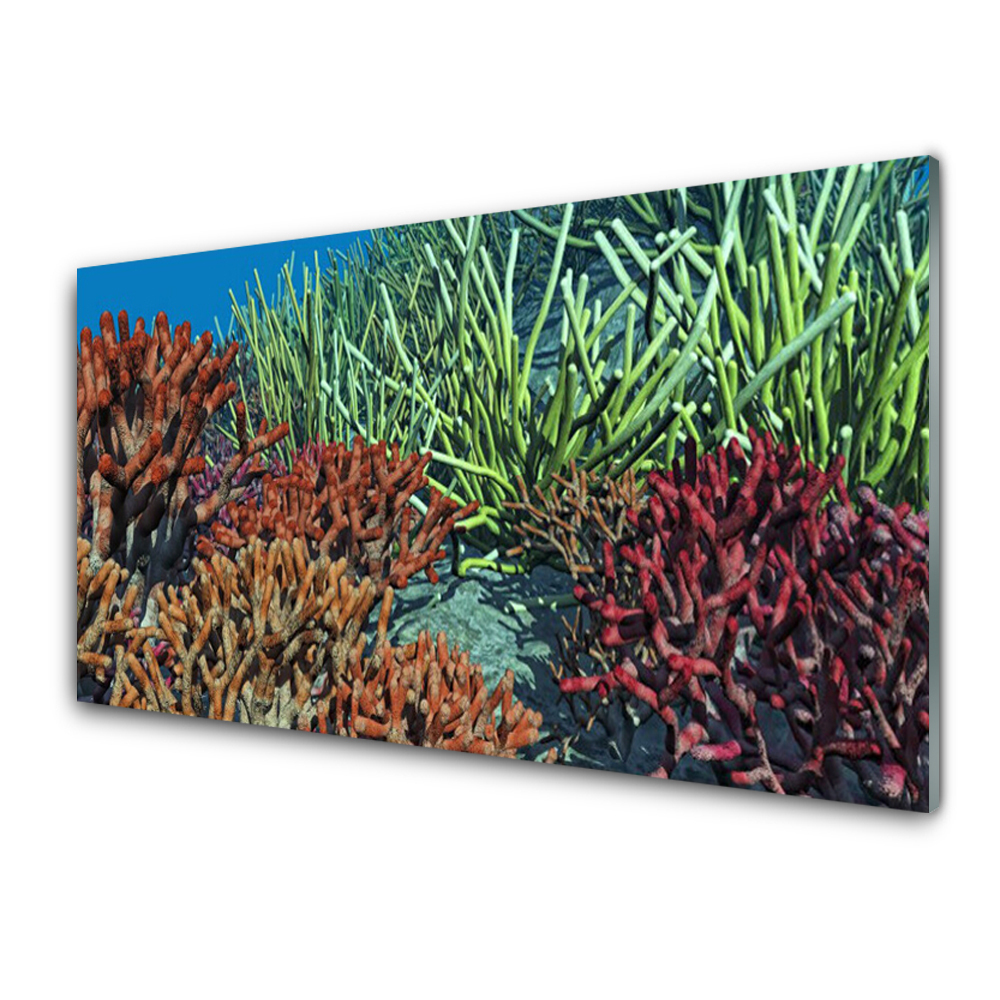Obraz Szklany Rafa koralowa 3D