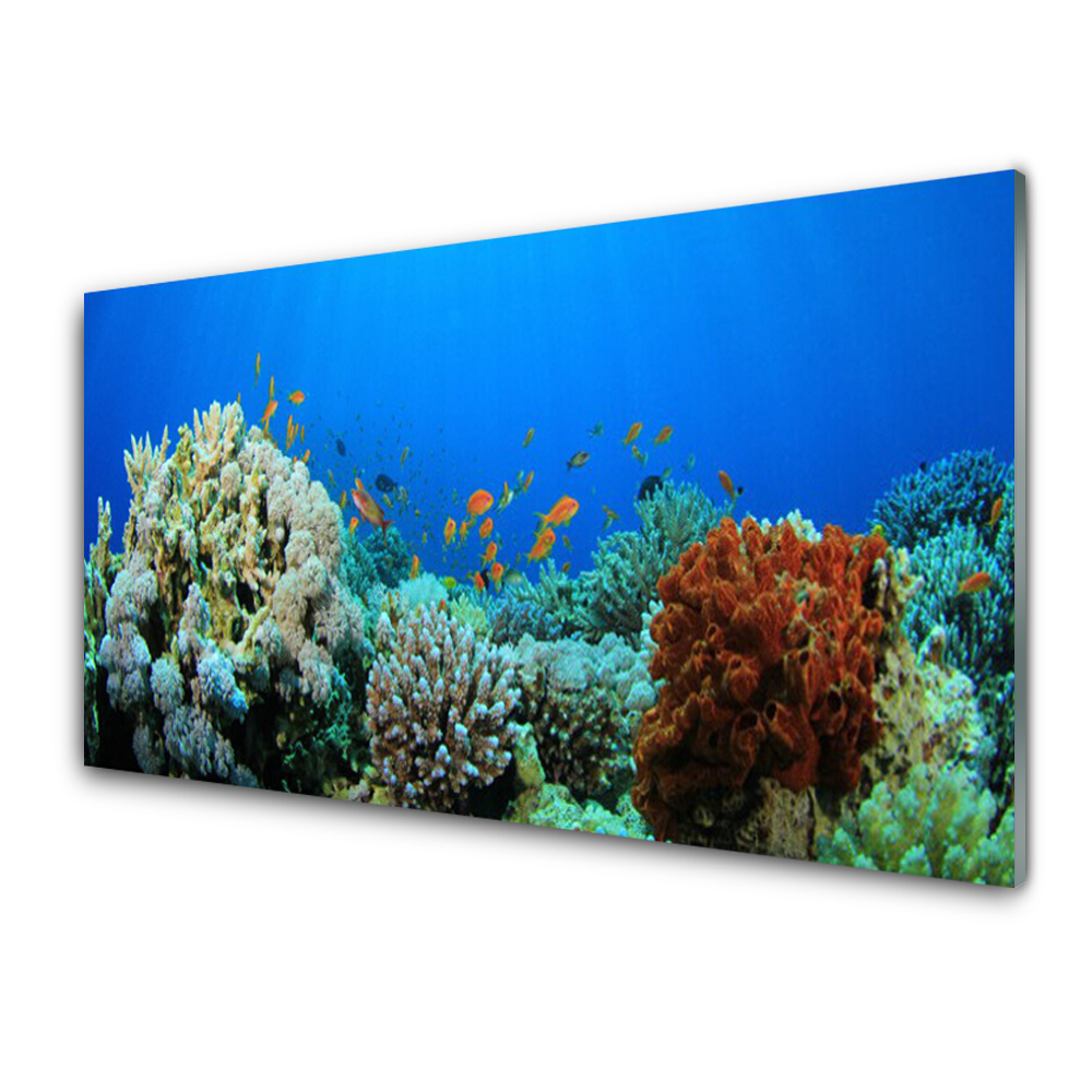 Obraz Szklany Rafa Koralowa i małe rybki
