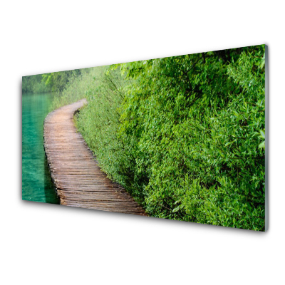 Obraz Szklany Most przy zielonych krzakach