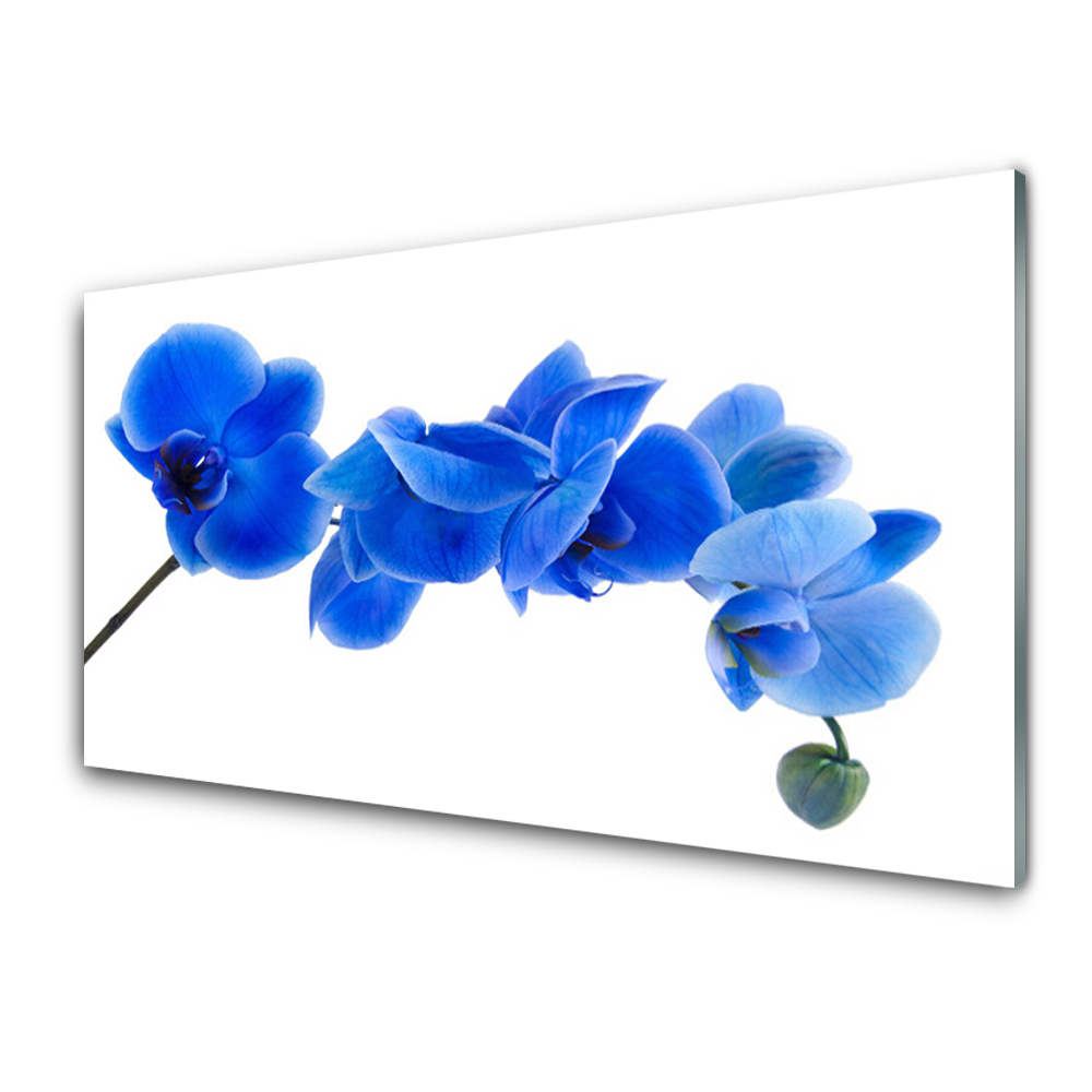 Obraz Szklany Niebieskie kwiaty orchidei