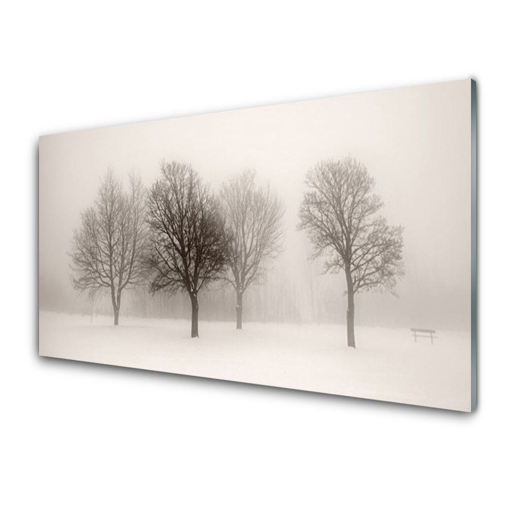 Obraz Szklany Drzewa we mgle i śniegu