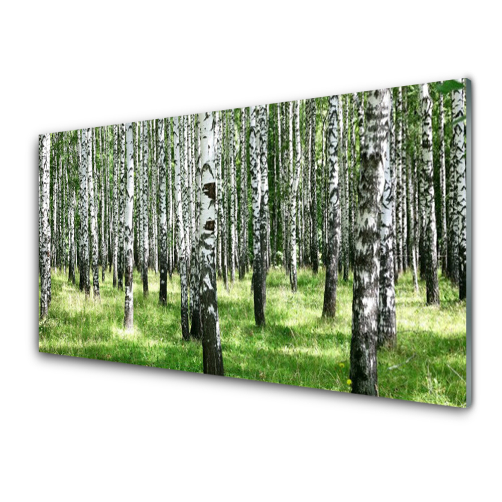 Obraz Szklany Brzozowy las zielony trawa