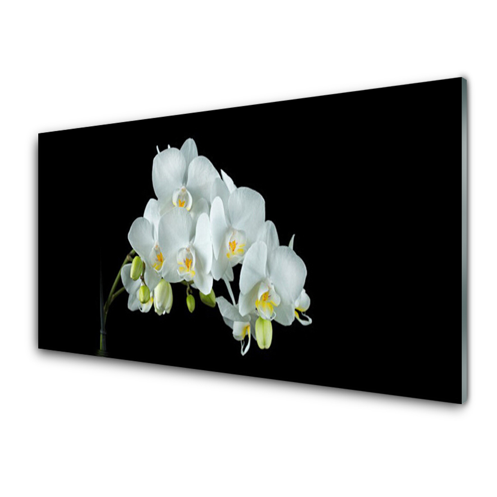 Obraz Szklany Białe kwiaty orchidea czarne tło