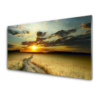 Obraz Szklany Dróżka Pole Pejzaż