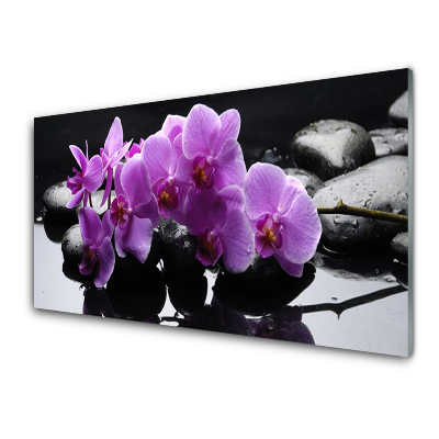 Obraz Szklany Storczyk na tle kamieni