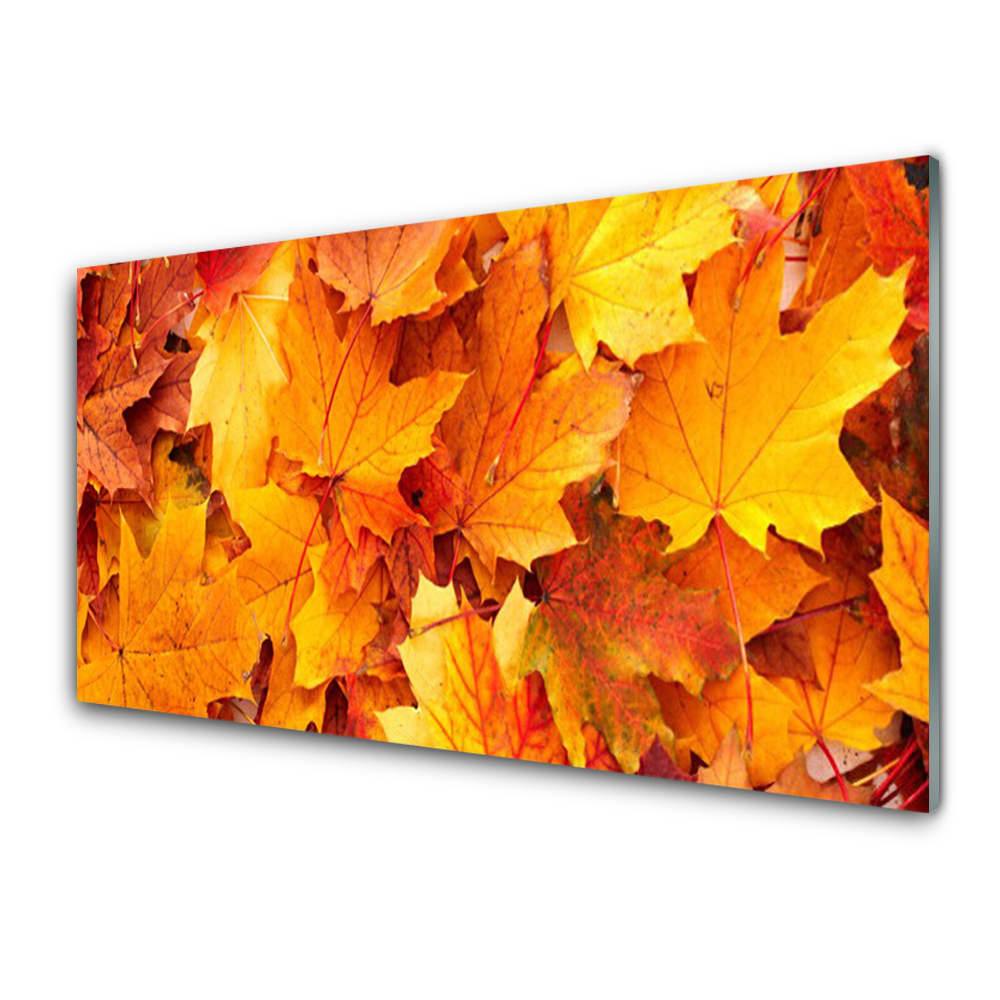 Obraz Szklany Tło z jesiennych liści