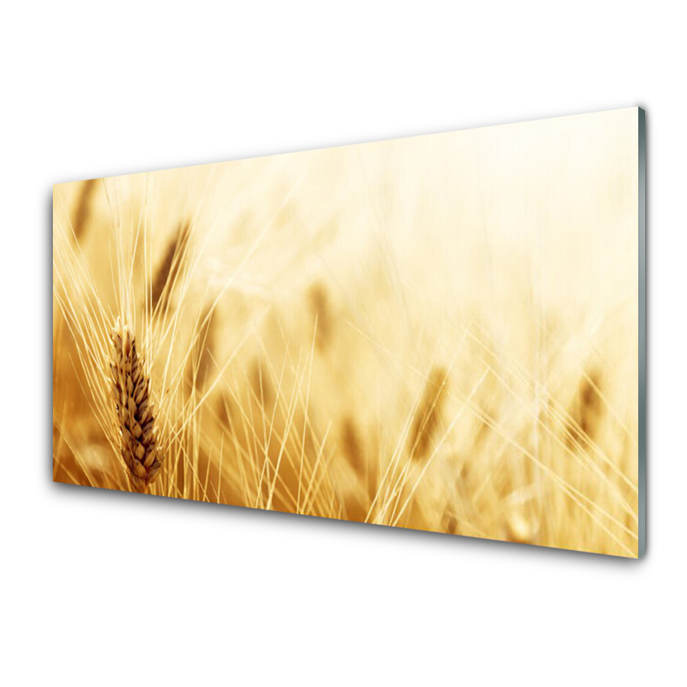 Obraz Szklany Zbliżenie na pszenice