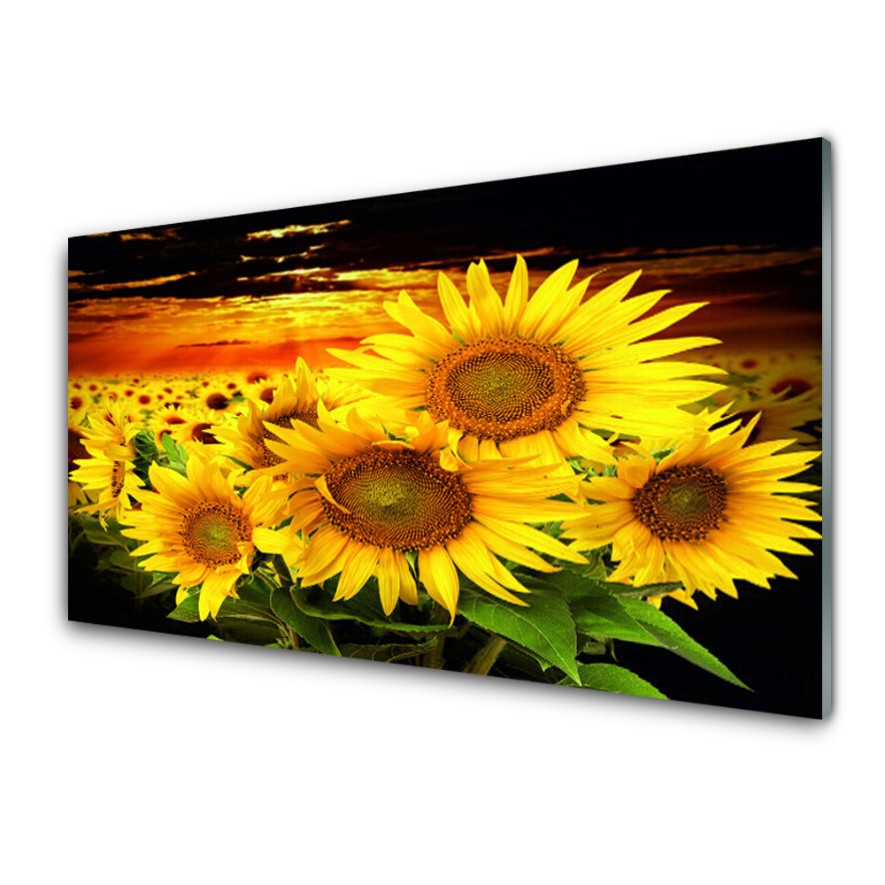 Obraz Szklany Słoneczniki Kwiaty roślina