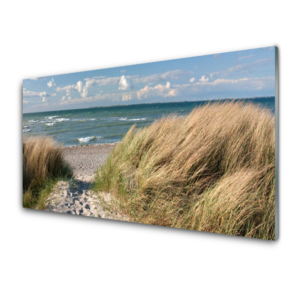Obraz Szklany Trawa na wydmach przy plaży