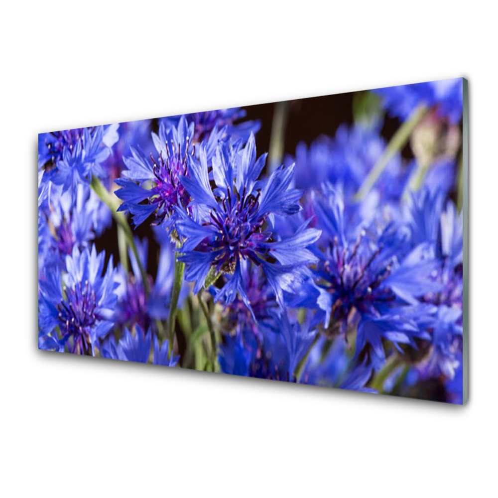 Obraz Szklany Niebieskie chabry kwiaty