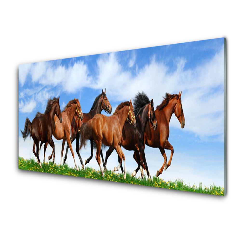 Obraz Szklany Biegnące konie na łące