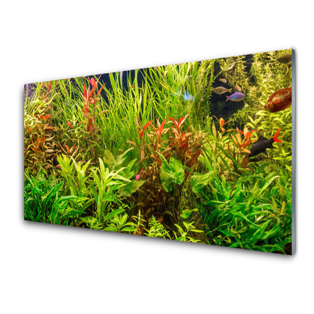 Obraz Szklany Rośliny i rybki w akwarium