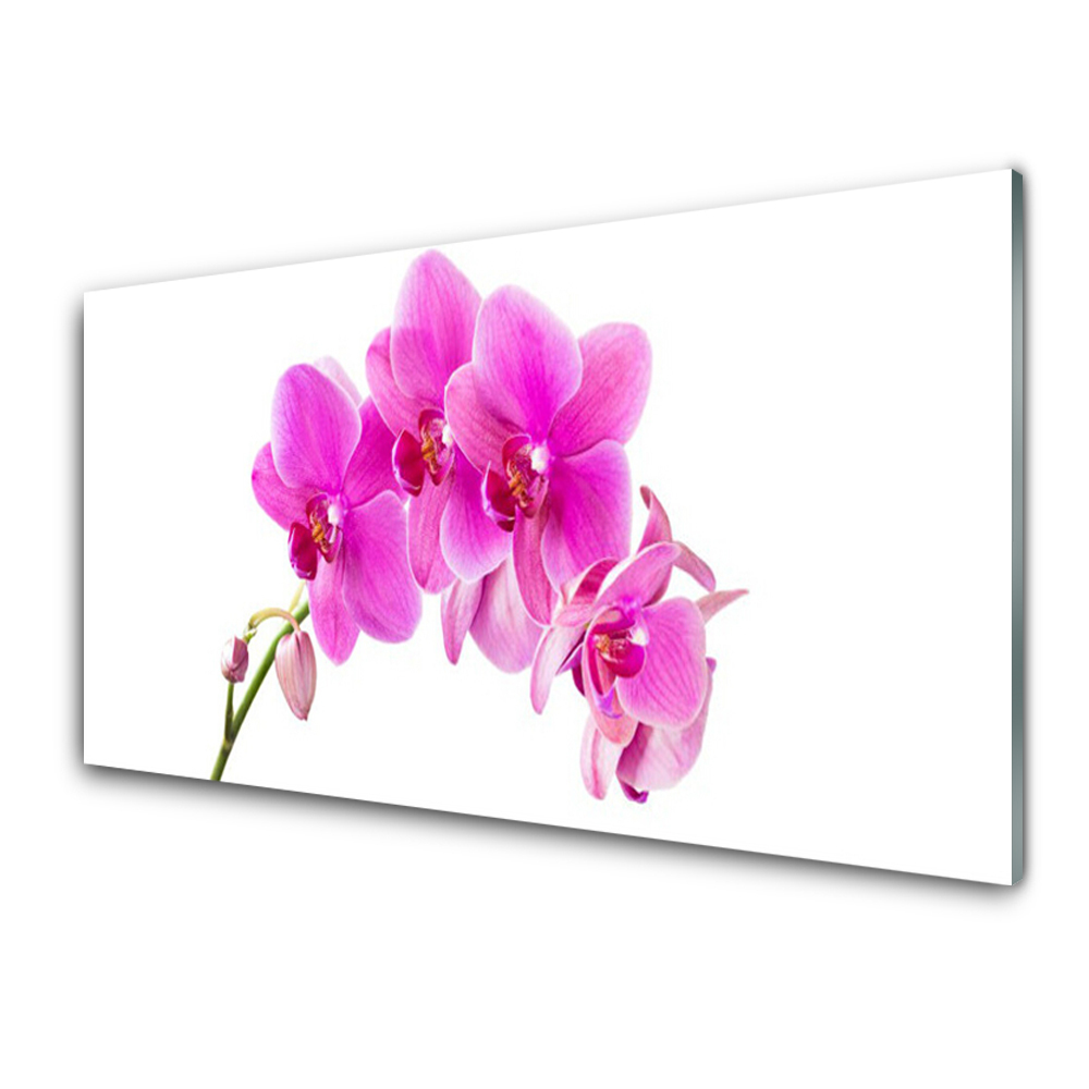 Obraz Szklany Orchidea kwiat storczyka