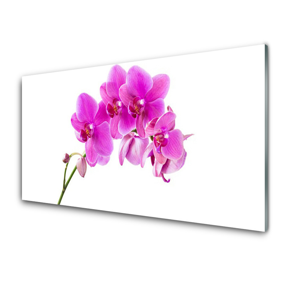 Obraz Szklany Storczyk kwiaty orchidei