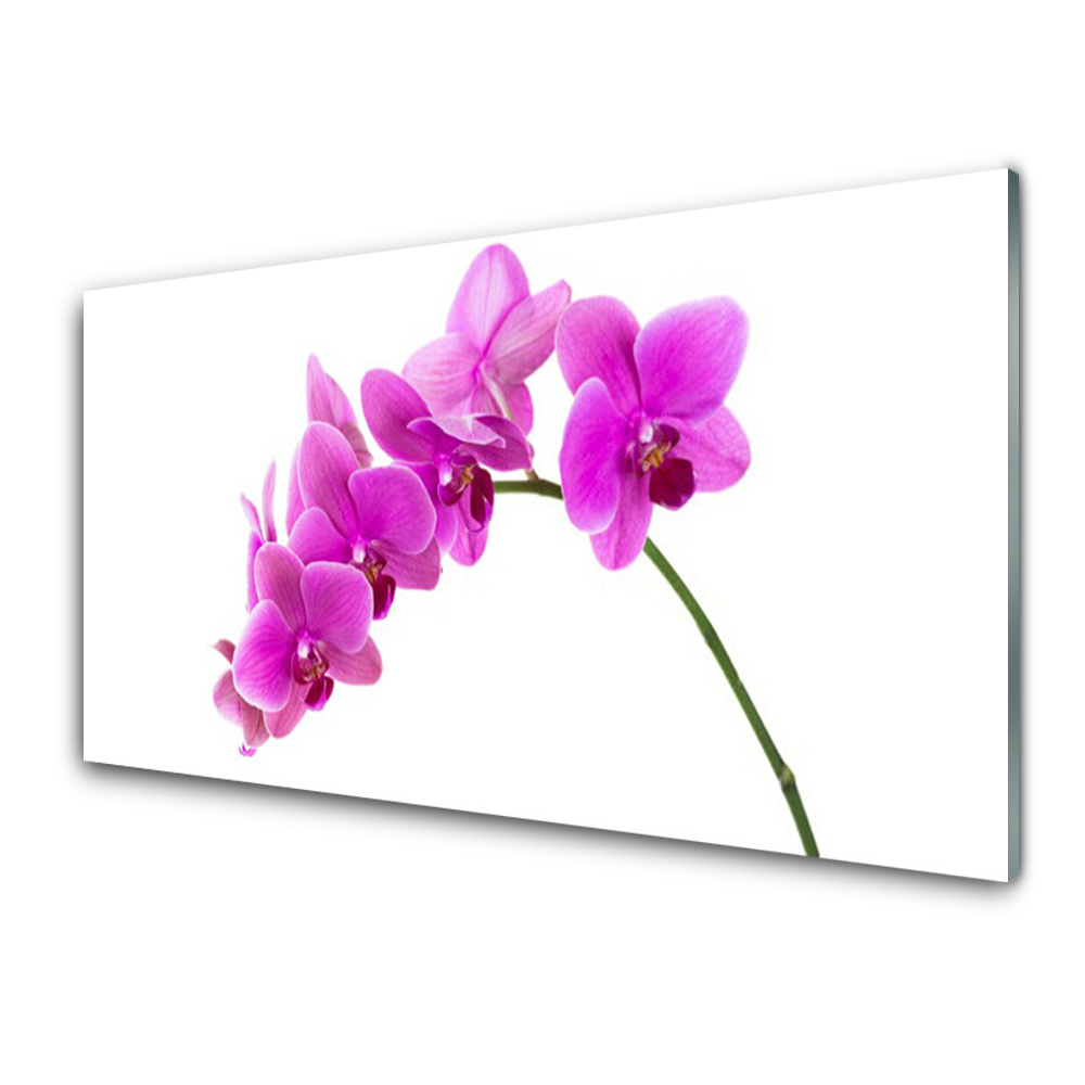 Obraz Szklany Kwiat na łodyżce Orchidea