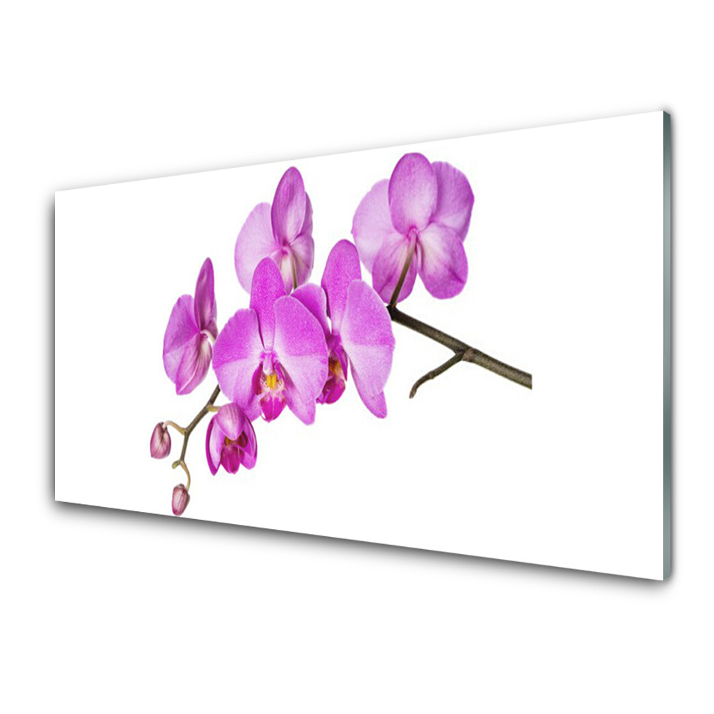 Obraz Szklany Różowy Storczyk Orchidea